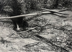 Svoboda - Small Falls