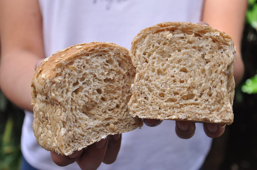Miniatura: Pan de avena y miel