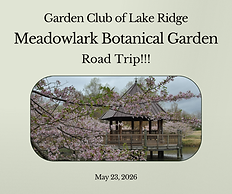 Meadowlark May 2026.png