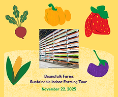 Beanstalk Nov 2025.png