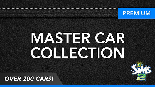 master-car-ts2.jpg