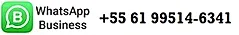 whatsapp business.webp
