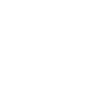 Untitled design (13).png