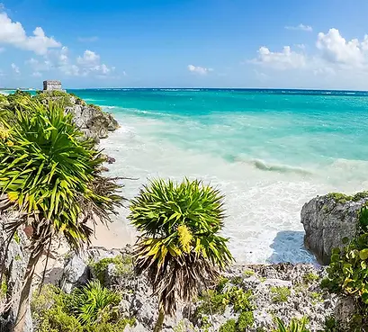Beach scene with sand and palm tree