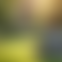 Calm individual practicing mindfulness in a garden