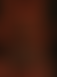 1º edição da NO ART em São Paulo anuncia novidades; confira!