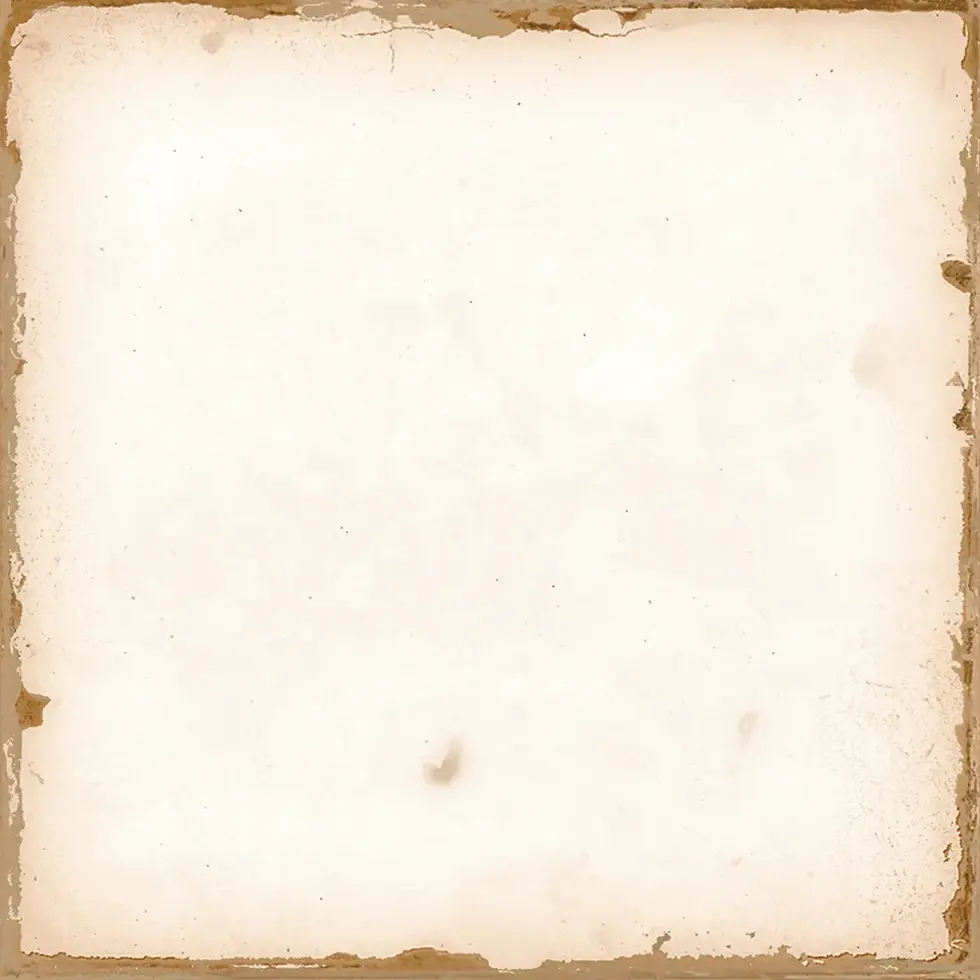 CASABLANCA - カサブランカ(WHITE) 125×125