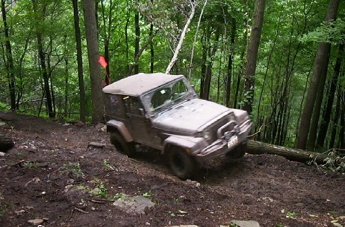 Jeep navigating a wooded trail