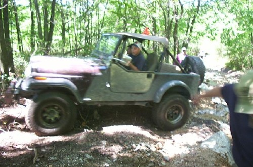 Jeep traversing wooded trail