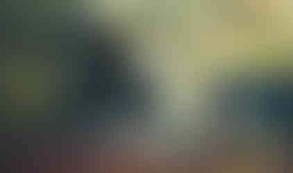 Two Jeeps traversing a rustic bridge on an off-road trail