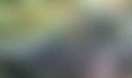 Woman driving Jeep Cherokee off-road