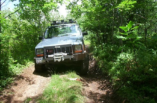Jeep Cherokee on wooded trail