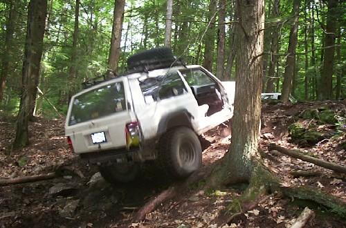 White Jeep navigating wooded trail