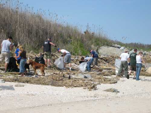 Volunteers cleaning beach debris