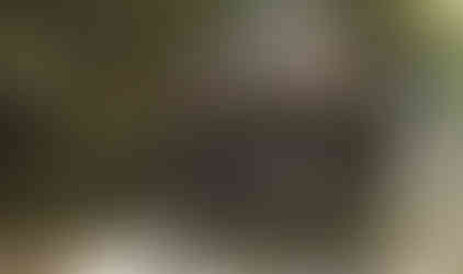 Jeep traversing a wooded, rocky stream