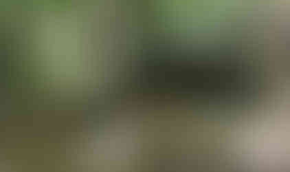 Jeep navigating rocky terrain