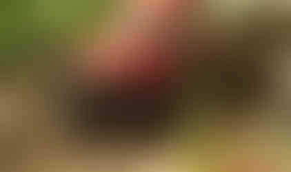 Man driving red Jeep on Carnage Hill