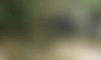 White Jeep crossing rocky stream