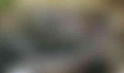 Man in Jeep on trail