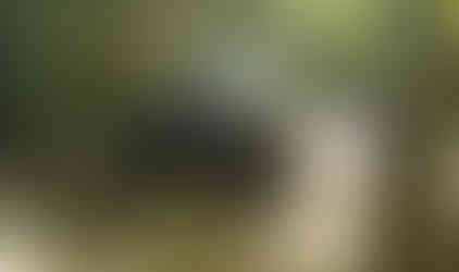 Jeep navigating rocky trail, spectators watching