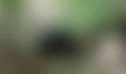 Jeep traversing rocky trail, Long Island Off Road