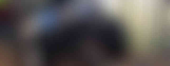 Vintage Jeep #1 off-roading