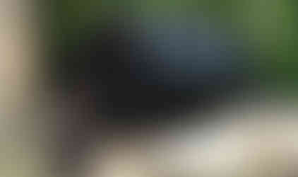 Red Jeep navigating rocky trail