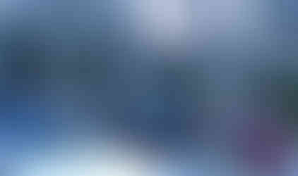 Jeeps parked in snowy woods