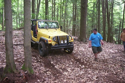 Yellow Jeep traversing wooded trail