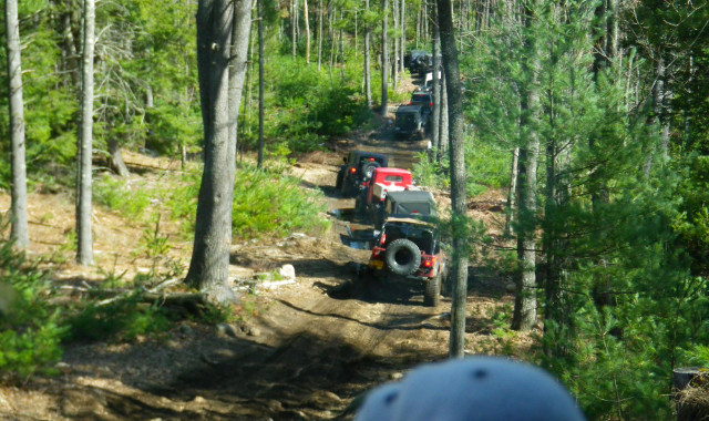 Jeeps line up on wooded trail