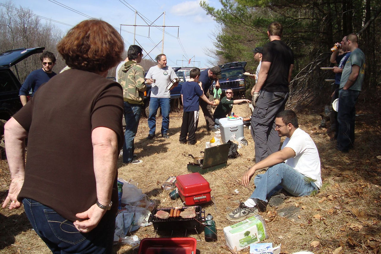 Group enjoying outdoor picnic