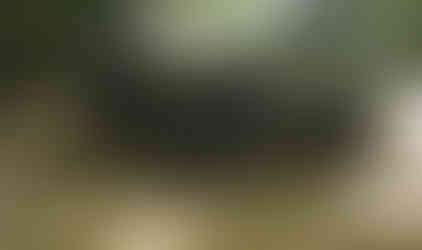 Lifted Jeep Cherokee tackling rocks on trail