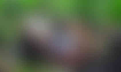 Woman driving rusty off-road vehicle