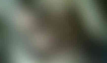 Close-up of rusty car axle