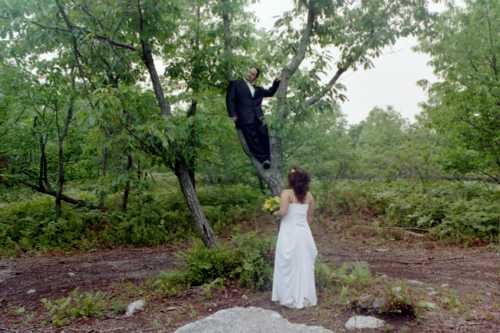 Groom in tree, bride below, Long Island Off Road wedding
