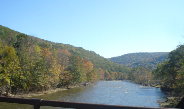 Autumn foliage along river