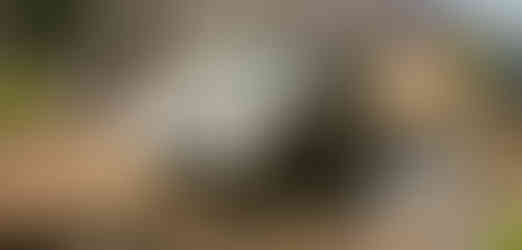 Muddy Jeep stuck, man inside