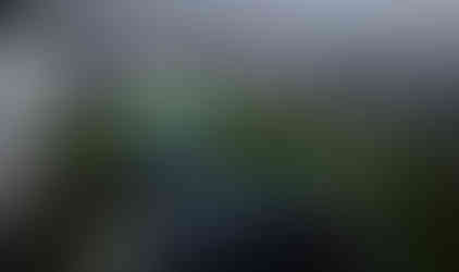 Off-road vehicles navigating muddy trail