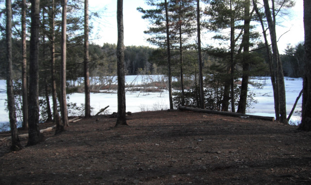 Scenic lake view through trees