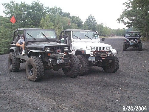 Two Jeeps parked outdoors, one black and one white