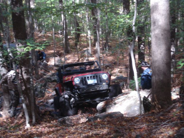 Red Jeep navigating challenging wooded trail
