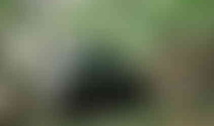 Jeep navigating rocky trail, Long Island Off Road