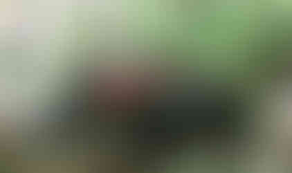 Red Jeep navigating rocky trail