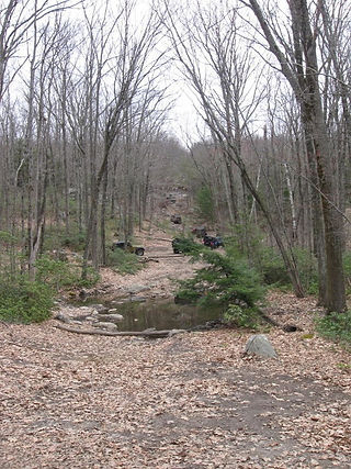 Off-road vehicles ascending a wooded hill