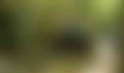 Jeep navigating rocky trail, Long Island Off Road