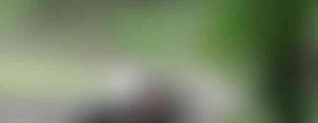 Man driving Jeep through mud