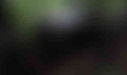 White Jeep Wrangler stuck on trail