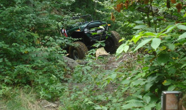 Green Jeep navigating a wooded trail