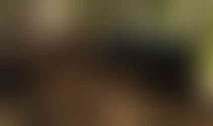 Jeep ascending a rocky, wooded trail