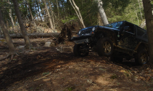 Black Jeep traversing wooded trail